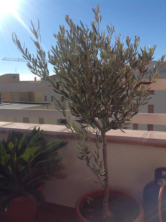 Villamari Alghero
